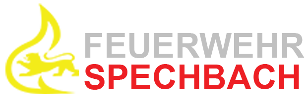 Logo leichtgrau