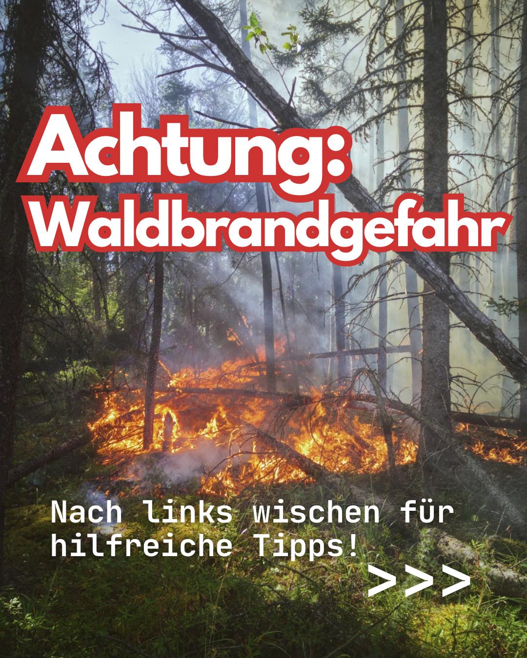 ‼️ ACHTUNG WALDBRANDGEFAHR ‼️