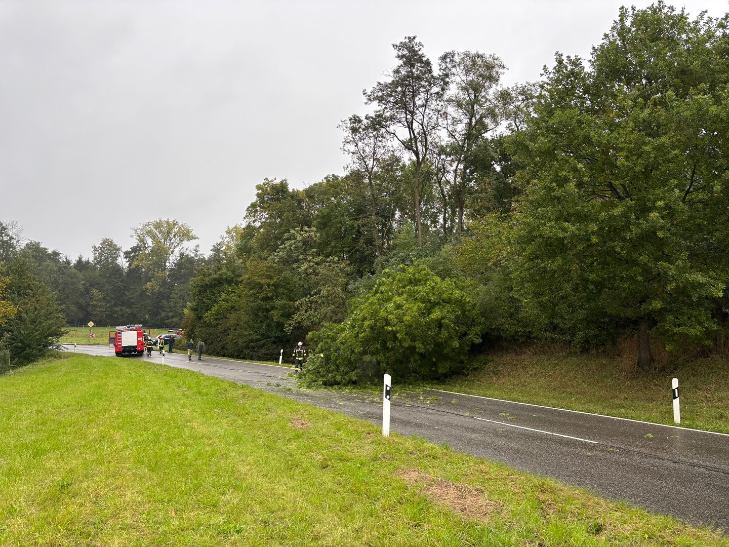 Einsatzbericht FF Spechbach