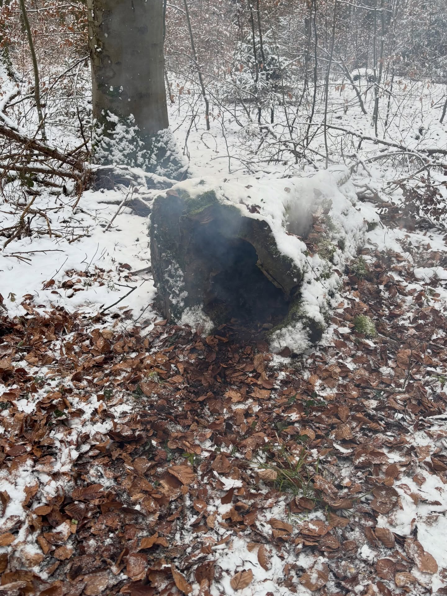 🚨Einsatz: 01-2026